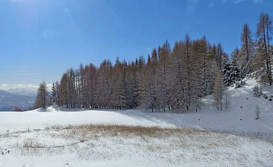 2020霸氣的游戲英文網名大全