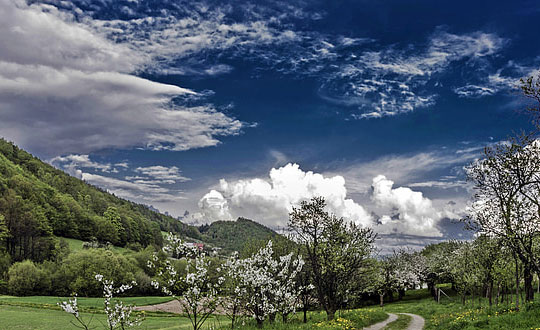唐詩宋詞取名內涵好聽的女孩名字