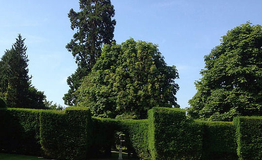 龍年寶寶名字大全