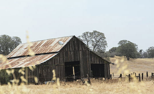 女孩名字大全：按字母分類經典好聽的女孩名字大全