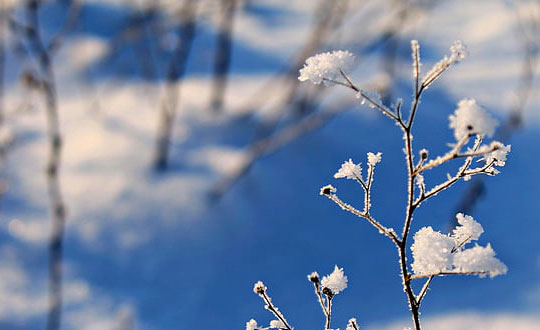 百家姓取名大全：百家姓取名_姓坤的女孩名字