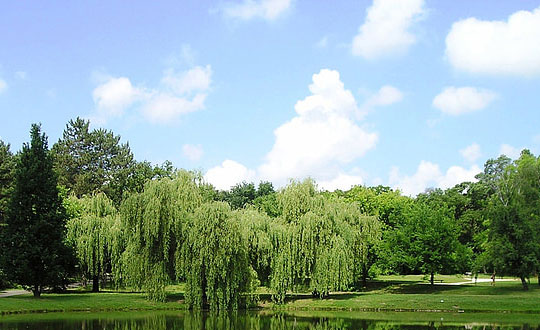 女孩名字大全：好聽的女孩名字大全