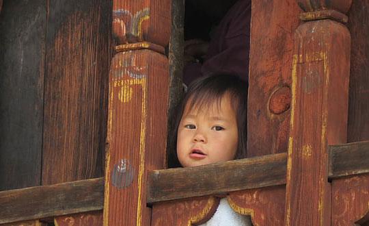女孩取名：優雅可愛的女孩名字