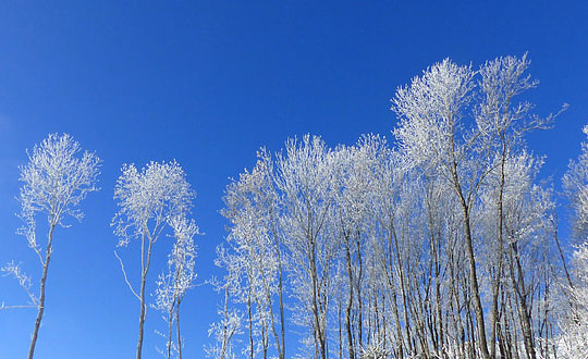 百家姓取名_姓鐘離的復姓名字