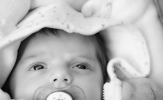 有內涵的鄭姓女孩名字大全