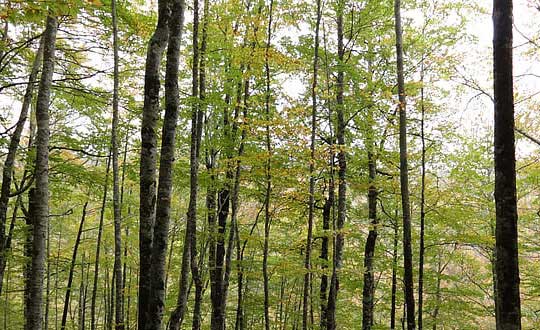 美出新高度 女孩取名要注意的原則