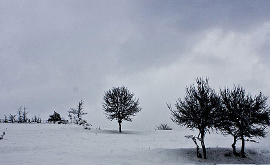 五行屬土的女孩好名字大全