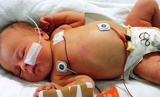 年女羊寶寶起名名字常見方法