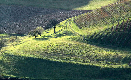 240個好寓意好聽的女孩名字大全