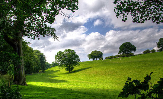 精選好名字 給女孩起名字就這樣起