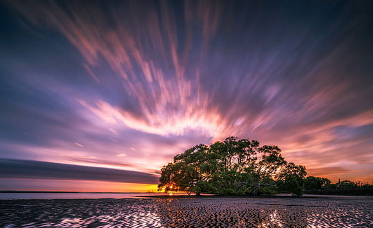 雙胞胎女孩起名 羊年50個雙胞胎女孩的好名字