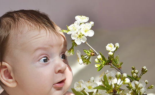 年好聽文雅的女生名字大全