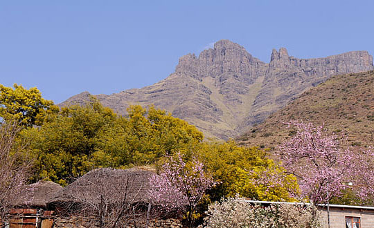 好聽的女孩名字英文翻譯