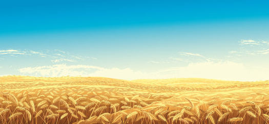 公司名稱簡單大氣三個字