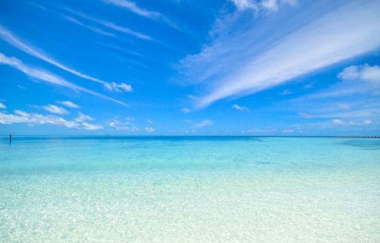 分享一些2025公司免費好聽的名字