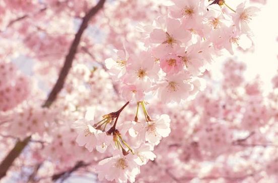 公司取名 | 工程公司起名大氣磅礴