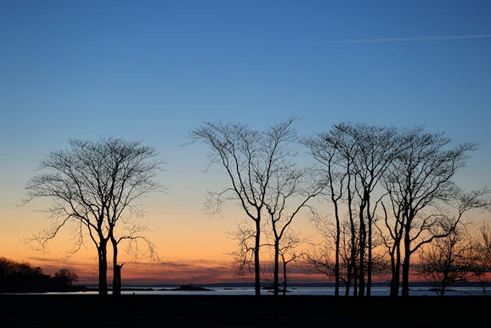 網名女力升級,女人優雅有韻味的網名推薦