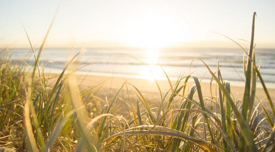 免費起名字，分享30個融合音樂美學的詩意名字