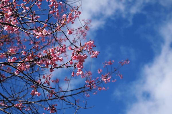 60個簡單好記的養殖場名字拿走不謝！