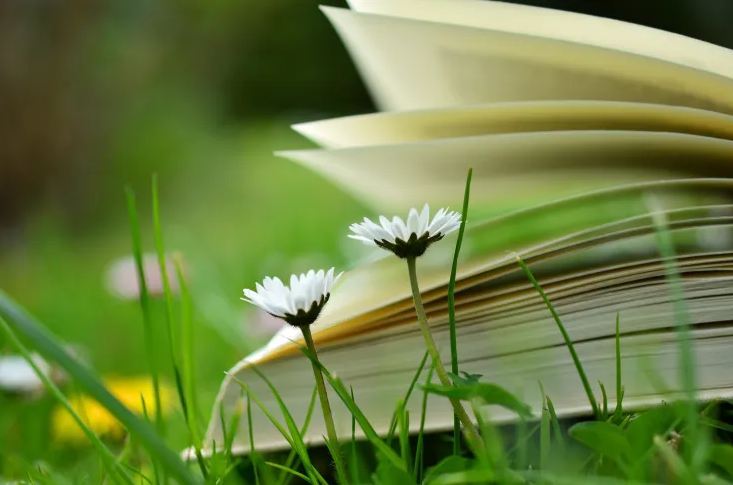 四字網名女生唯美簡單好聽（分享50個）