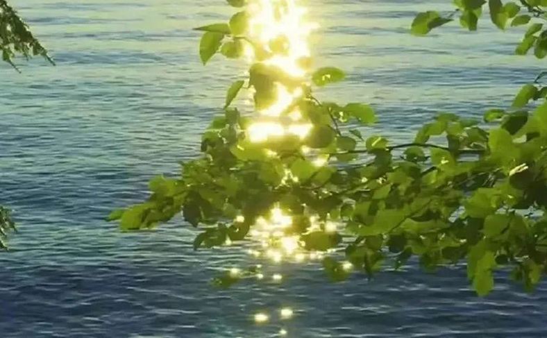 王楚然玩白鹿的辮子：王楚然名字測試打分，解析~