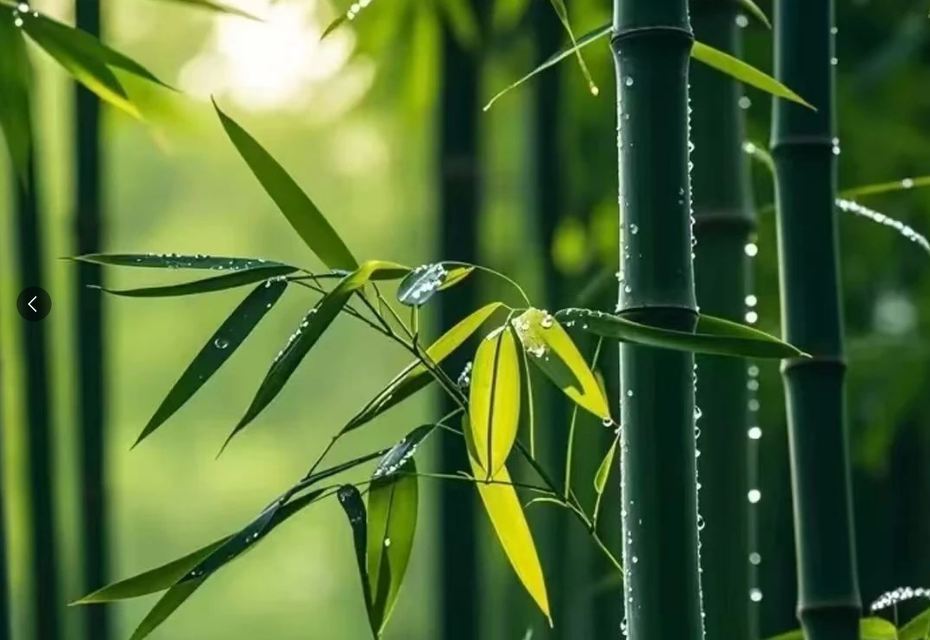 用姓氏取一個班味很濃的昵稱