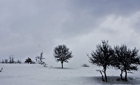 好聽的趙姓女孩名字大全2021