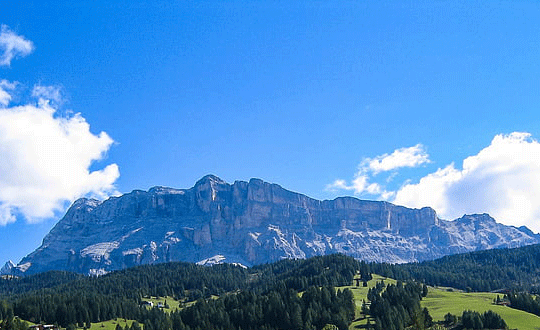 簡單好記的男生小學生英文名