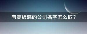 小眾高逼格公司名字（有高級感的公司名字怎么??？）