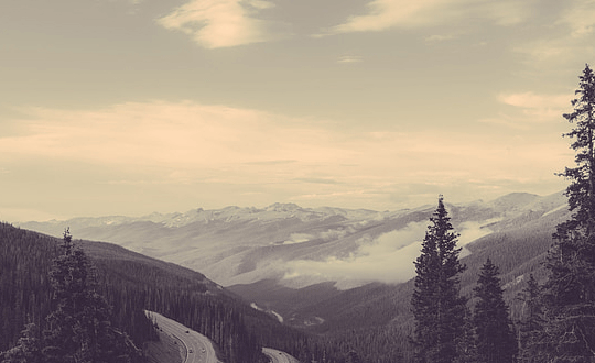 1581077422890179.png 5(310).png