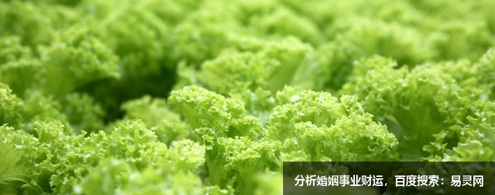 互聯網公司創意名字大全，獨特好聽應有盡有